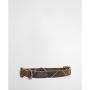 TARTAN & WEBBING DOG COLLAR