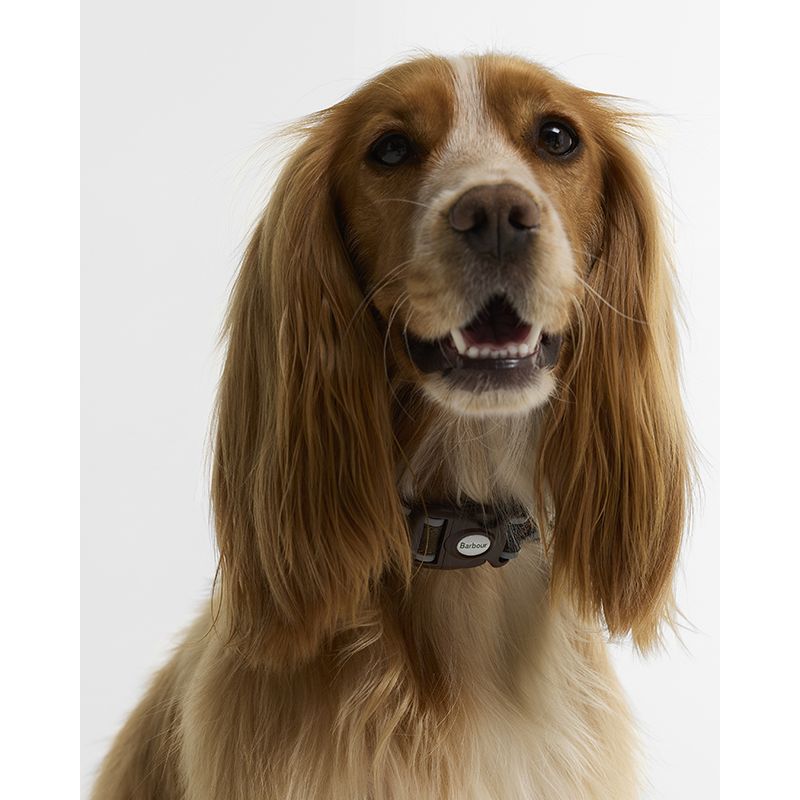 Collier pour chien tartan réfléchissant Barbour
