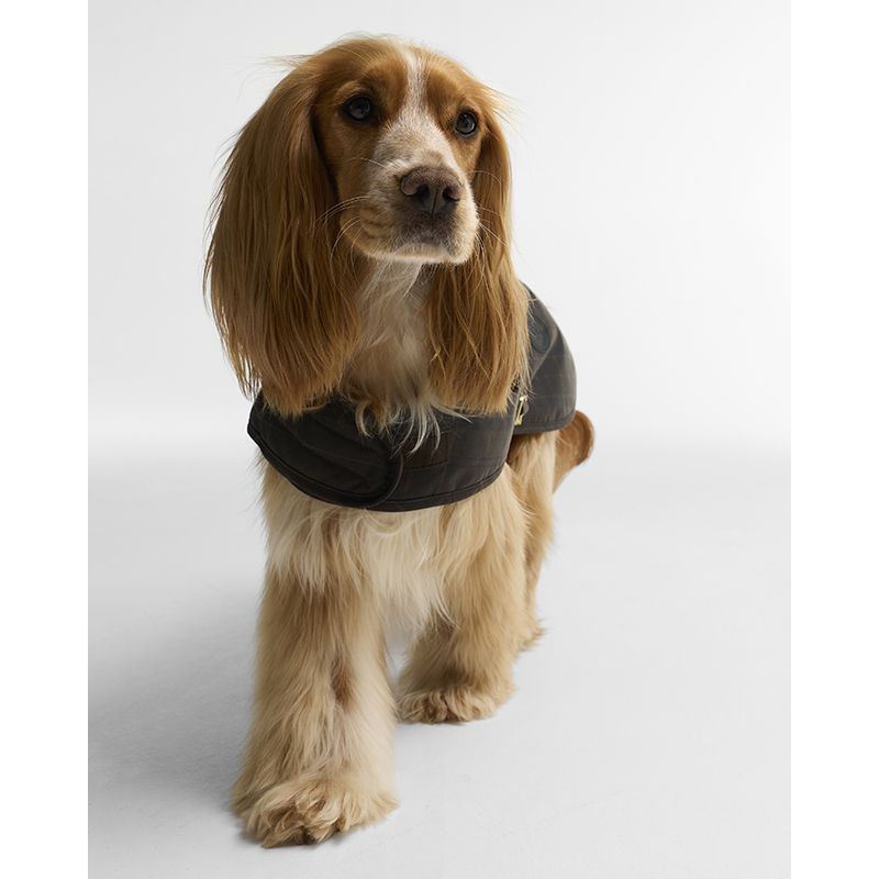 Manteau pour chien tartan en coton huilé Barbour