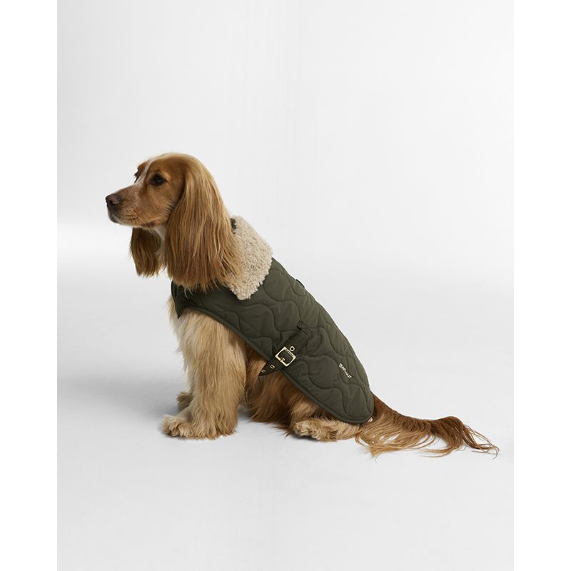 Manteau matelassé pour chien Beith Barbour