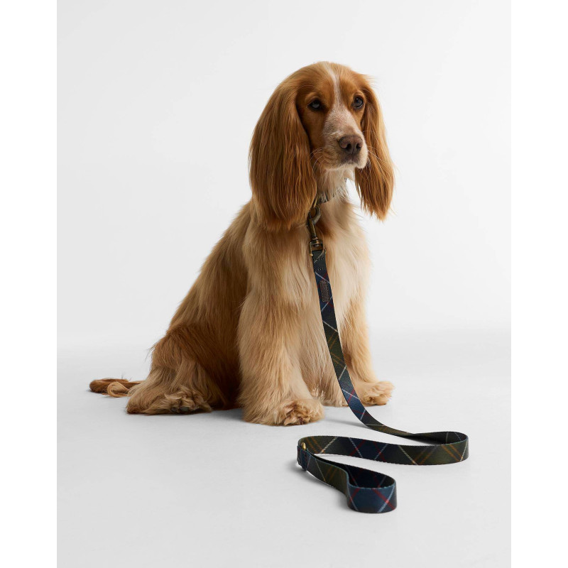 Laisse pour chien tartan imprimé Barbour