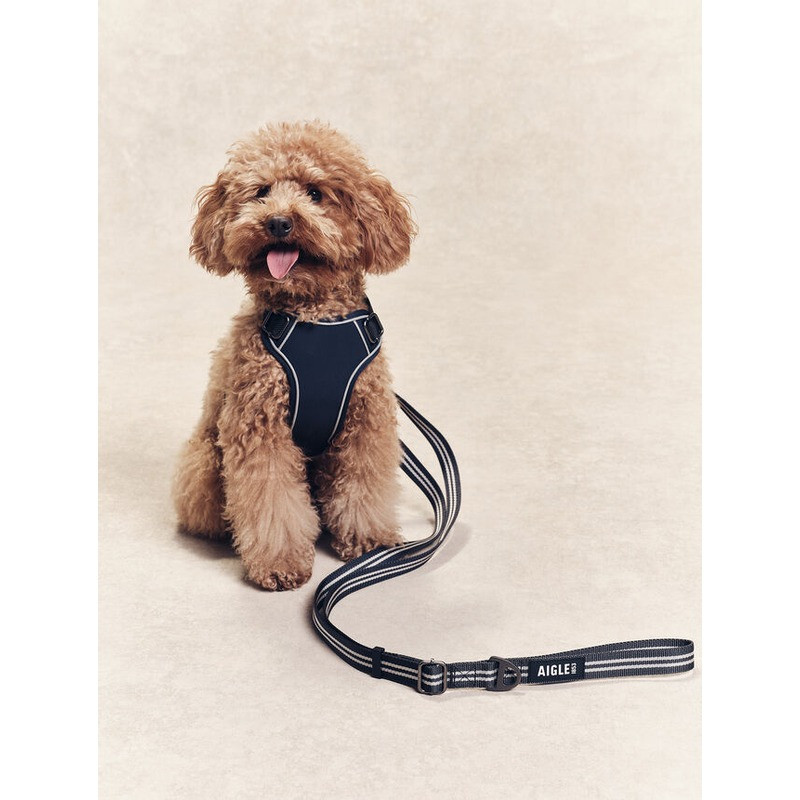 Harnais pour chien Aigle