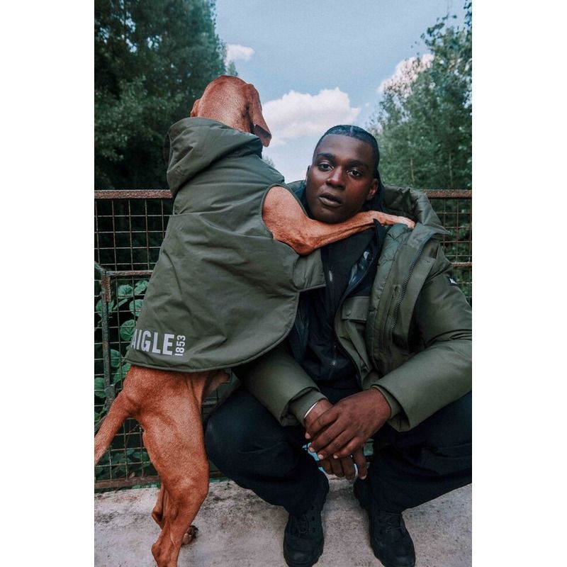 Manteau pour chien Rainpack Repreve et imperméable Aigle