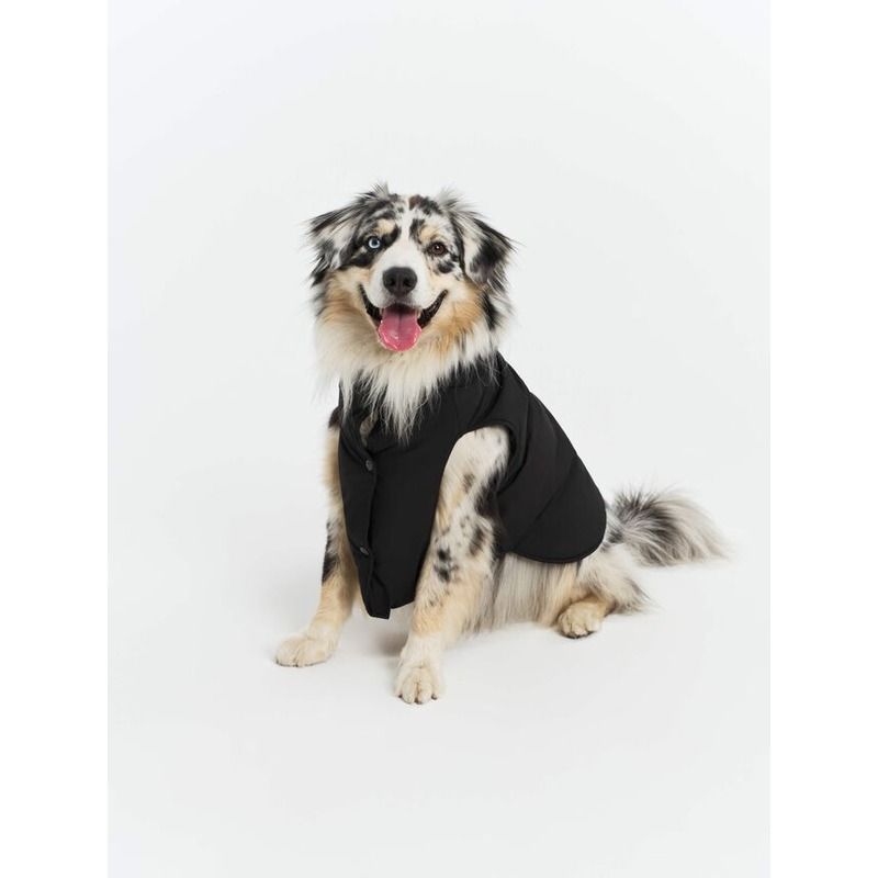 Manteau pour chien Rainpack Repreve et imperméable Aigle