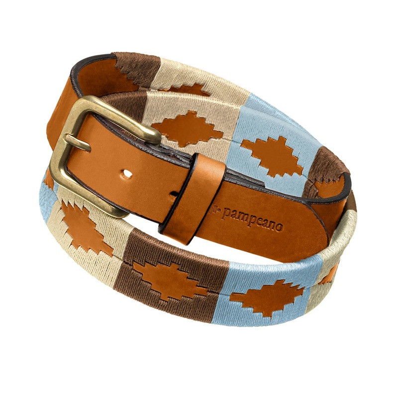 Ceinture Argentine Desierto Pampeano