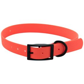 Colliers pour chien