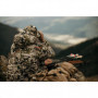 Veste Matelassée Kelvin Down WS Hoody Sitka