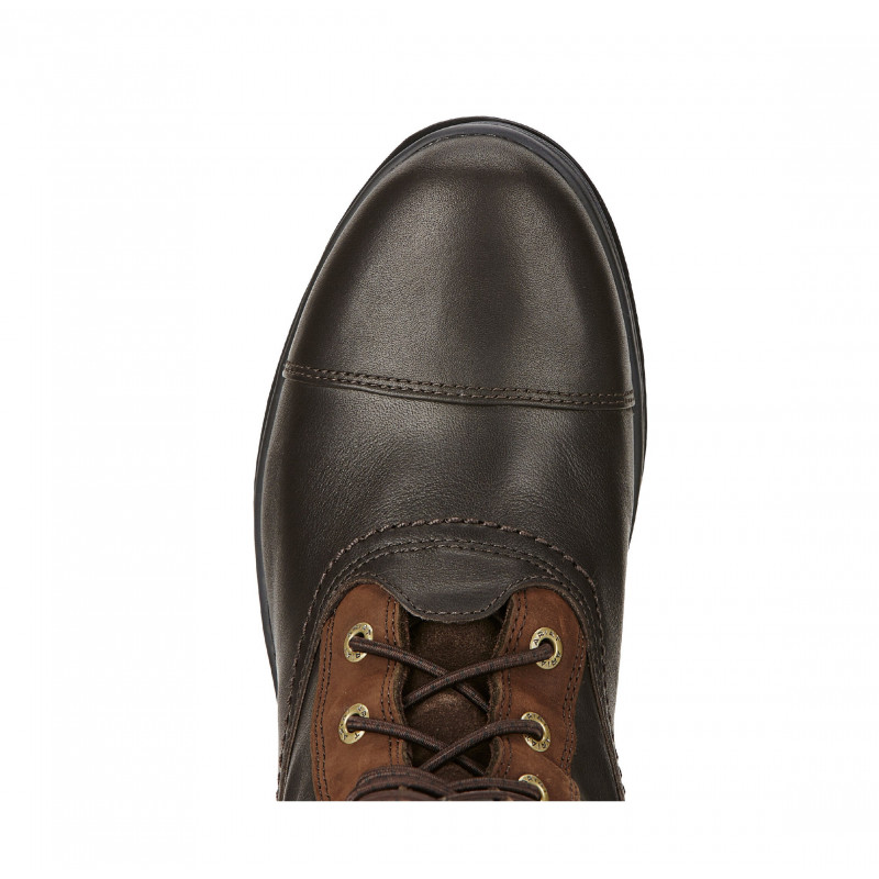 Ariat Vrouwen Coniston Pro GTX Laarzen