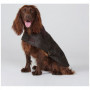 Manteau pour chien coton huilé doublure tartan Barbour