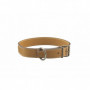 Collier pour chien en cuir Alexandre Mareuil