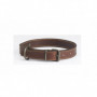 Collier pour chien en cuir Alexandre Mareuil