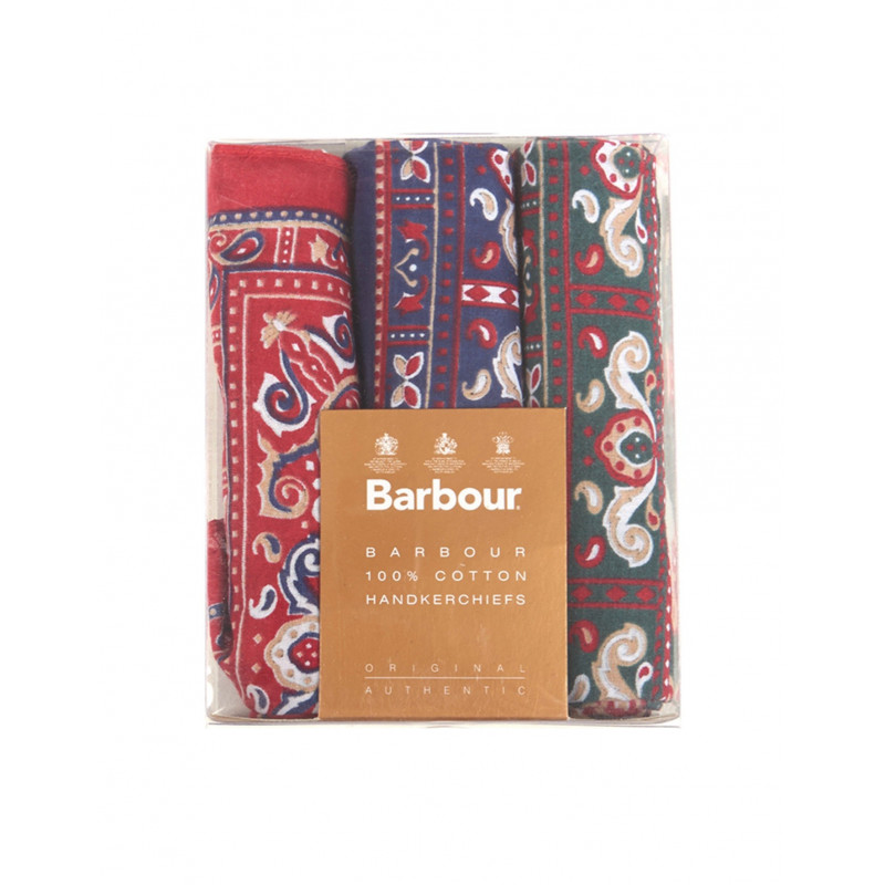 Pochettes/mouchoirs de costume Paisley Barbour