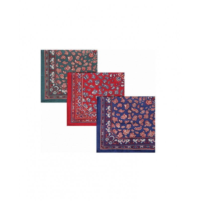 Pochettes/mouchoirs de costume Paisley Barbour