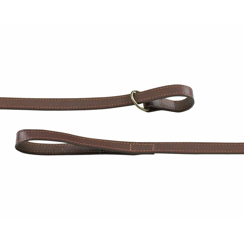 Laisse Collier 100 cm Alexandre Mareuil