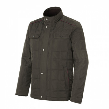 Veste matelassée Barnsley Stagunt