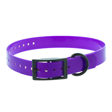 Halsband Met Dubbele Gesp Canihunt