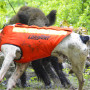 Gilet Protect Dog Armor V2 Canihunt
