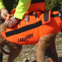 Gilet Protect Dog Armor V2 Canihunt