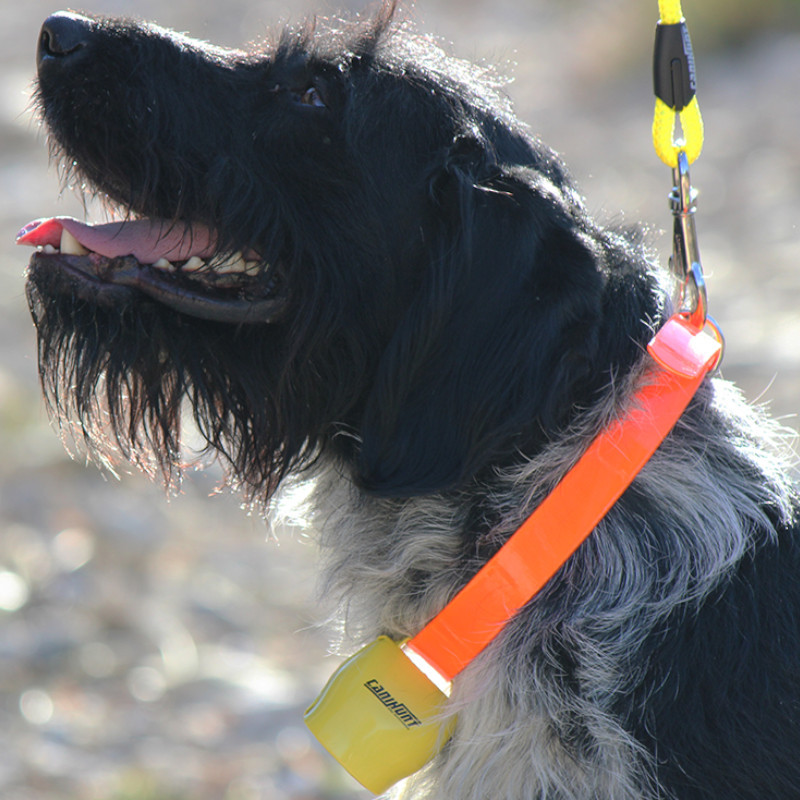 Bell ALP Canihunt