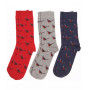 Coffret chaussettes faisans Barbour