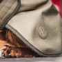 Manteau pour chien Le Chameau