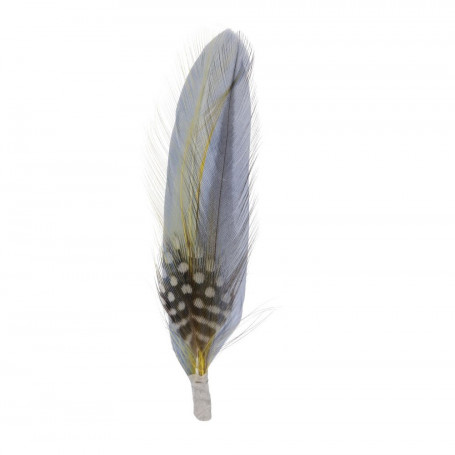 Plume pour chapeau Stetson