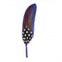 Plume pour chapeau Stetson