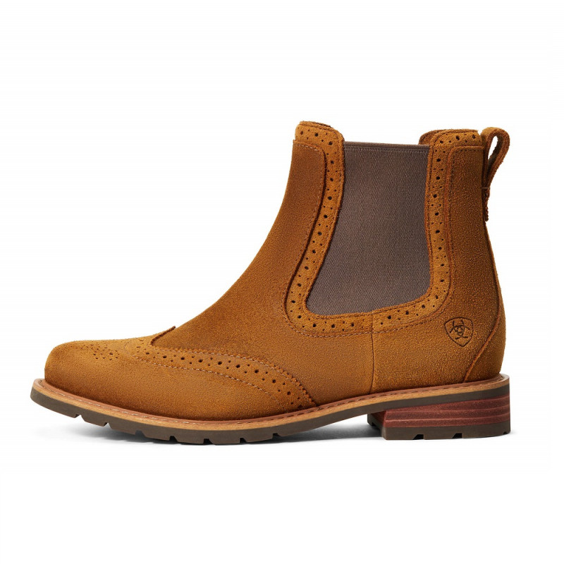 Boots Wexford Brogue H2O Femme Ariat