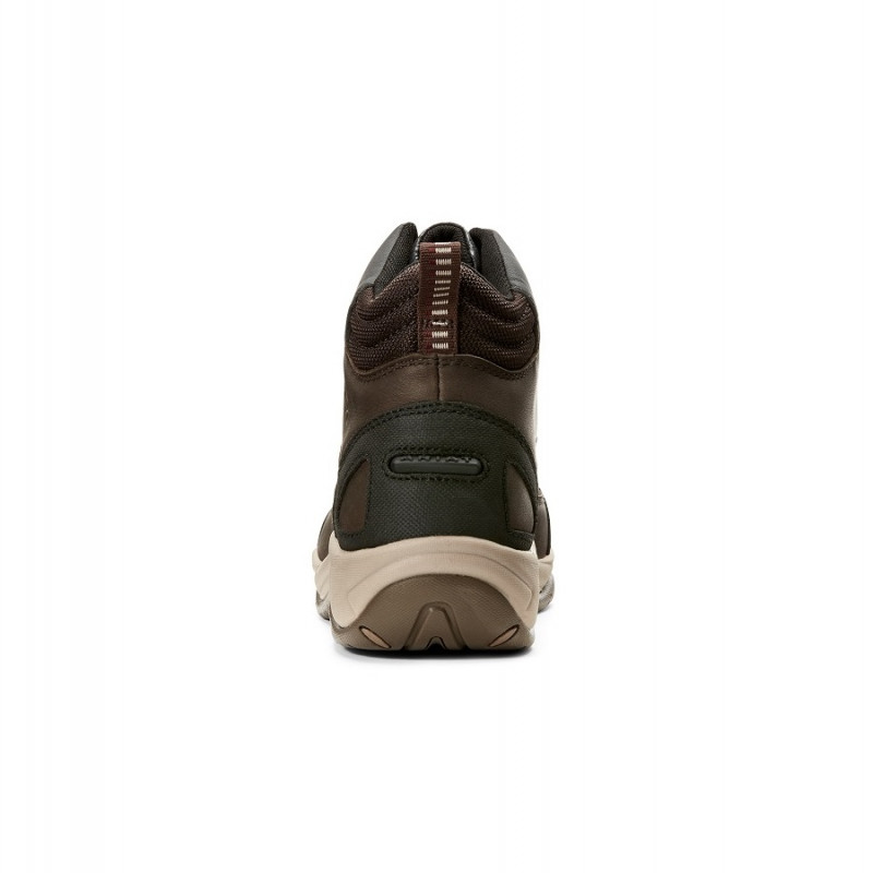 Chaussures Telluride Zip H2O femme Ariat