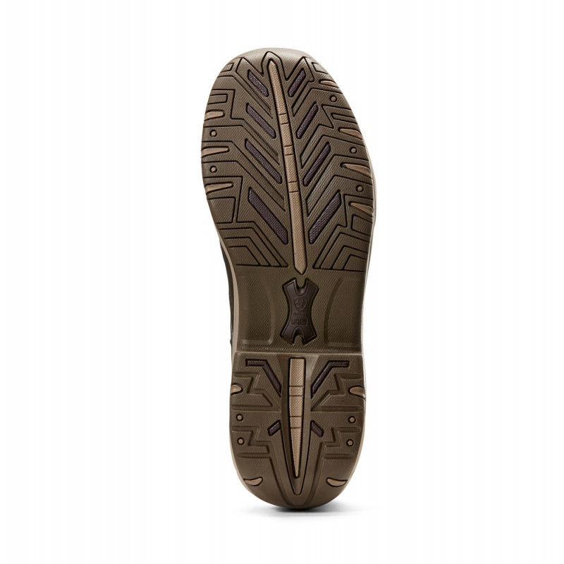 Chaussures Telluride Zip H2O femme Ariat
