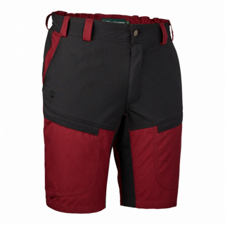Short Strike Deerhunter