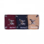 Coffret chaussettes chiens Pointer Barbour