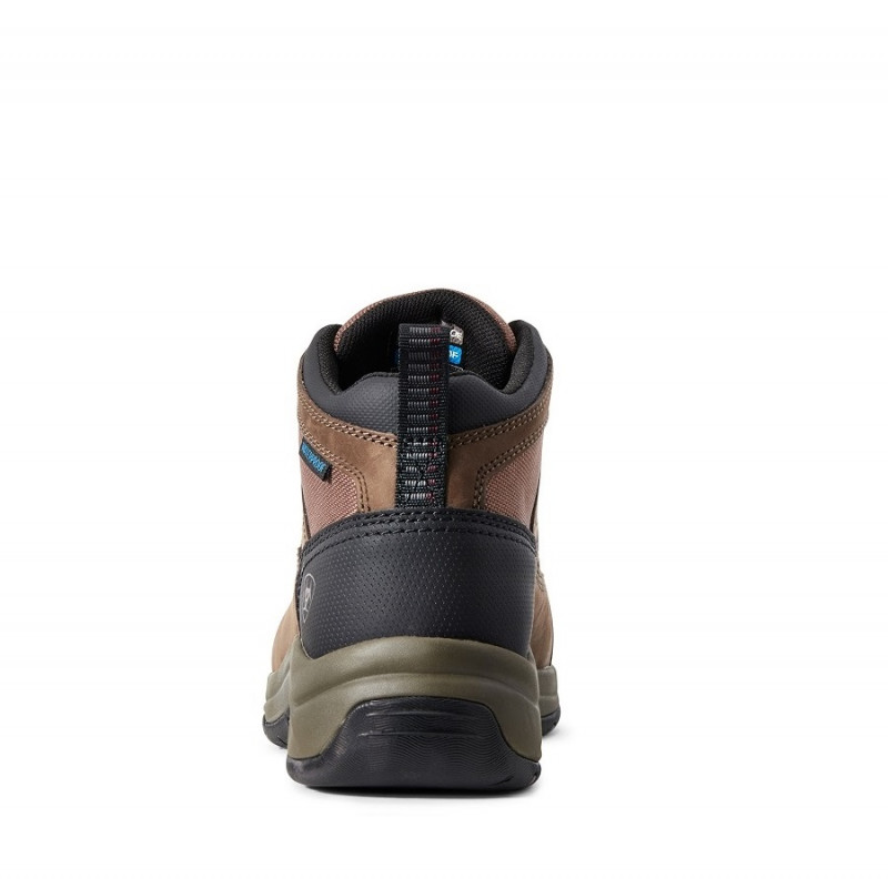 Chaussures de sécurité Telluride Work femme Ariat