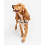 Manteau pour chien tartan en laine Barbour