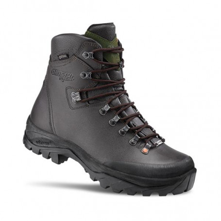 Schoenen Canada Evo GTX Crispi