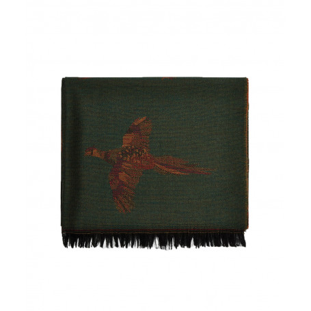 Longue écharpe Birchdale Dubarry