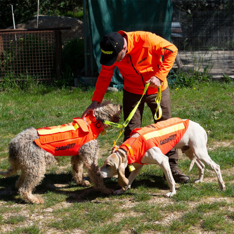 Gilet de sécurité pour chien - VERNEY-CARRON - Le-Chasseur