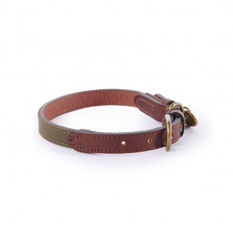 Collier pour chien cuir et coton huilé Le Chameau