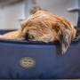 Panier pour chien Le Chameau