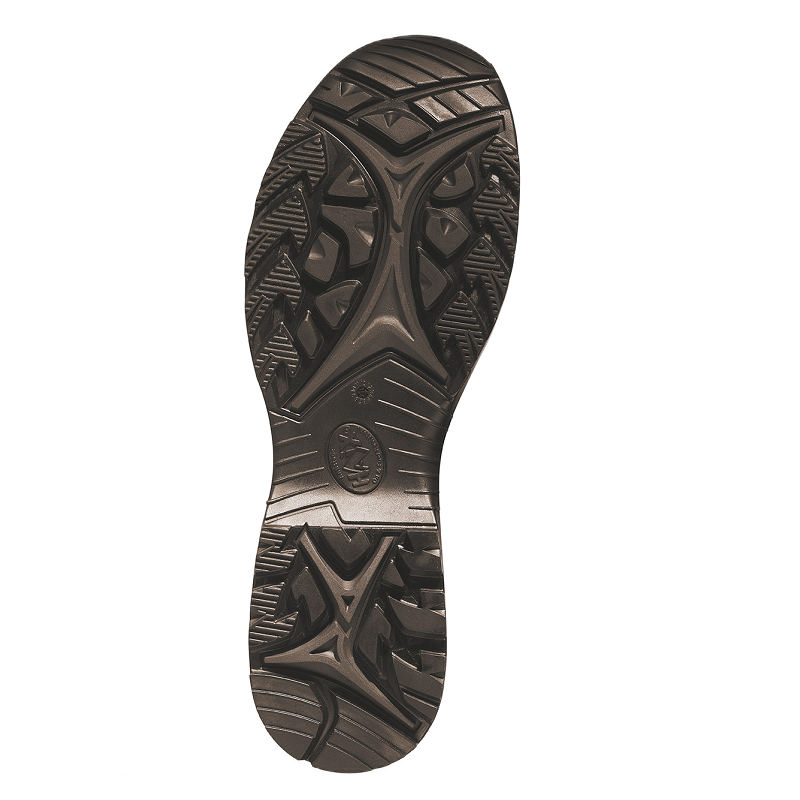 Schoenen Black Eagle Athletic 2.0 N GTX Haix