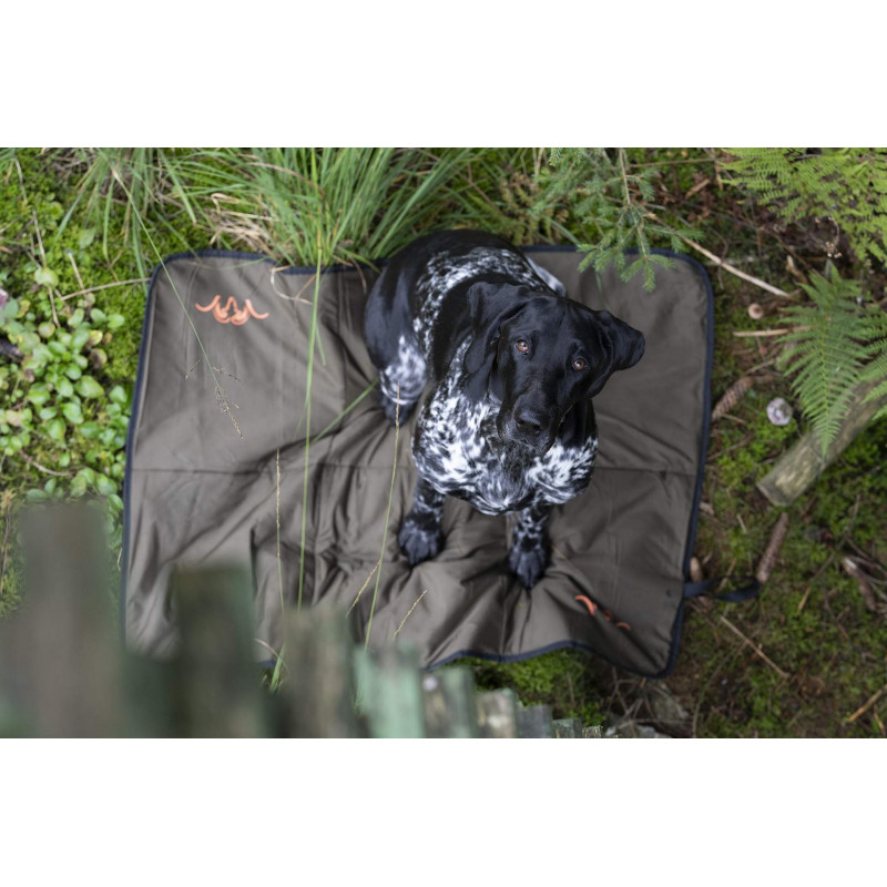 Plaid pour chien Blaser