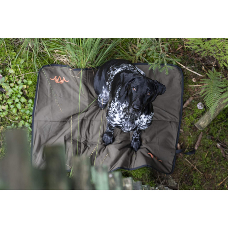 Tapis pour chien Blaser