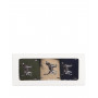 Coffret chaussettes chiens Pointer Barbour