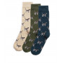 Coffret chaussettes chiens Pointer Barbour