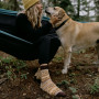 Chaussettes Arild Polar Star