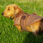 Manteau pour chien Bobby Baleno