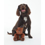 Jouet pour chien Barbour