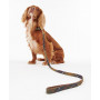 Laisse pour chien Tartan classique Barbour
