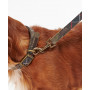 Laisse pour chien Tartan classique Barbour