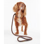 Laisse pour chien Barbour